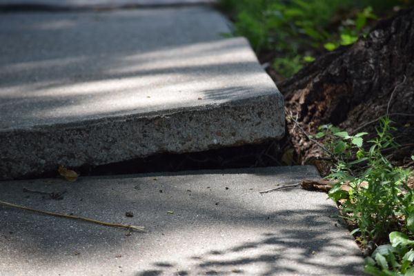 Cost of Concrete Lifting in Bellevue