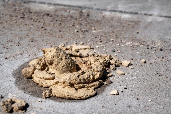 Cost of Driveway Slab Leveling in Bellevue